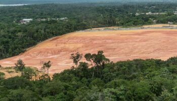 View,To,Deforested,Area,On,Green,Amazon,Rainforest,Near,Manaus