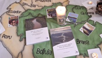 Panamazonía y libros - Julio Caldeira