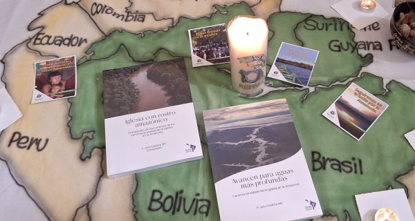 Panamazonía y libros - Julio Caldeira