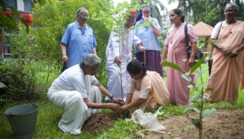 Campanha um católico uma árvore Bangladesh